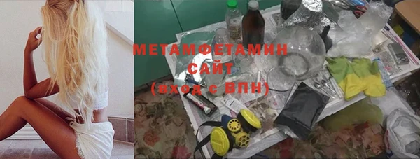 ГАЛЛЮЦИНОГЕННЫЕ ГРИБЫ Богданович