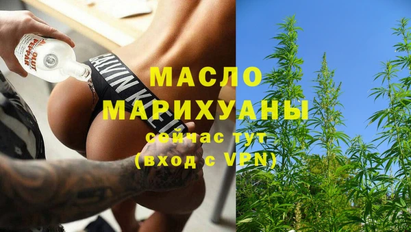 гидра Богородицк