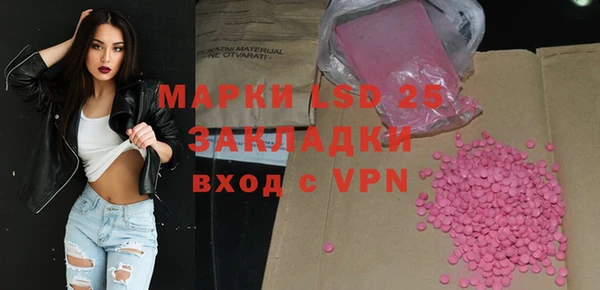ГАЛЛЮЦИНОГЕННЫЕ ГРИБЫ Богданович