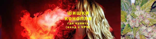 гидра Богородицк
