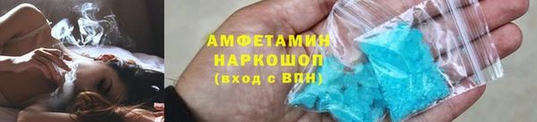 гидра Богородицк