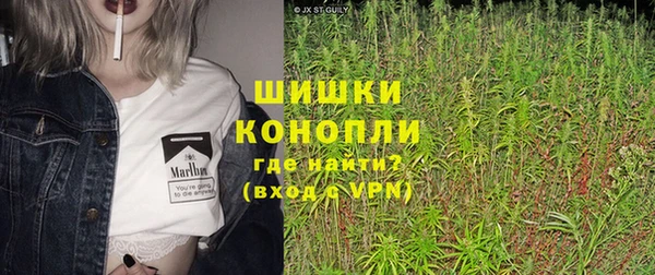 ГАЛЛЮЦИНОГЕННЫЕ ГРИБЫ Богданович
