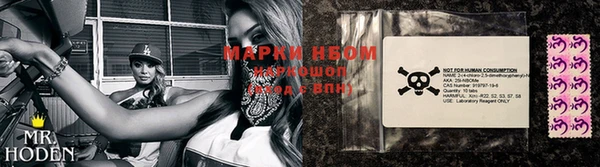 гидра Богородицк