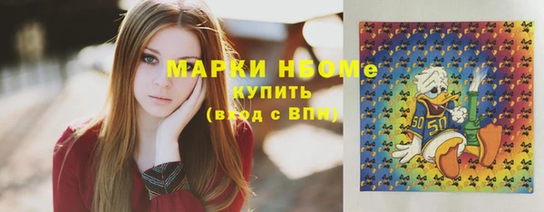 гидра Богородицк