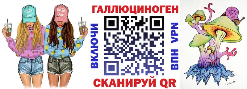 Галлюциногенные грибы GOLDEN TEACHER  закладки  Гудермес 