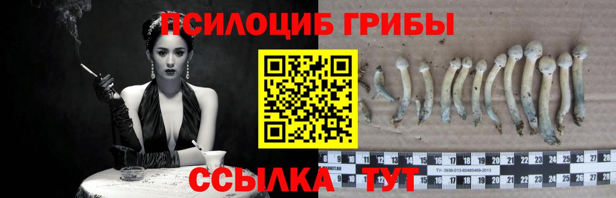 Галлюциногенные грибы Magic Shrooms  Вход с VPN  Гудермес 